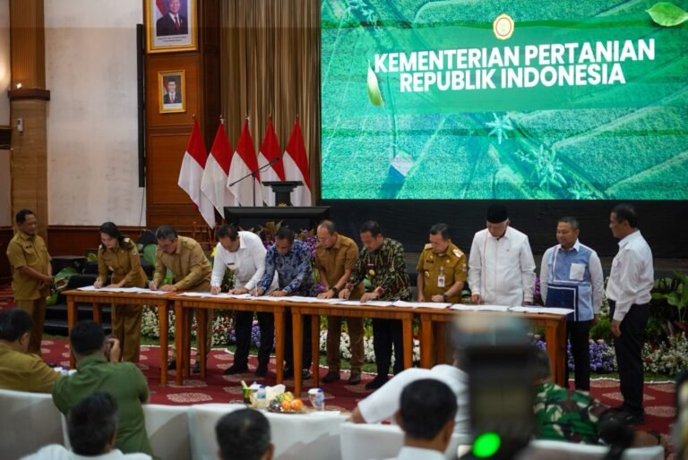 WhatsApp Image 2025-09-22 at 13.36.22