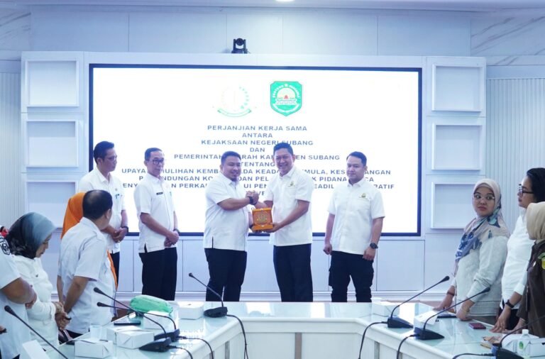 WhatsApp Image 2025-10-08 at 16.55.12