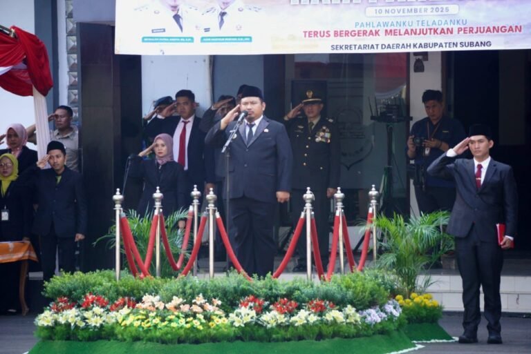 WhatsApp Image 2025-11-10 at 12.18.33 (1)