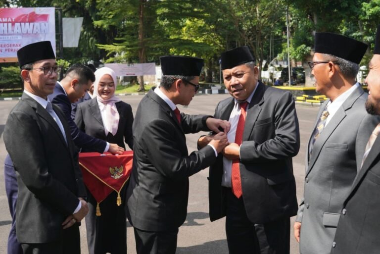 WhatsApp Image 2025-11-10 at 15.27.47