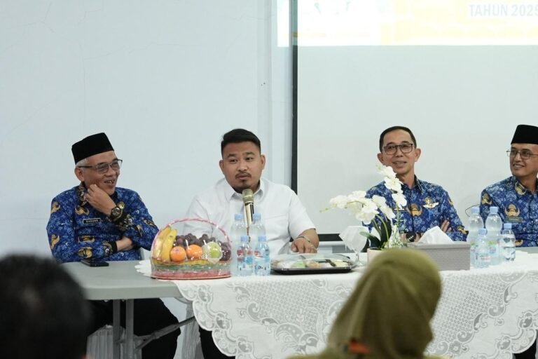 WhatsApp Image 2025-11-17 at 15.29.41