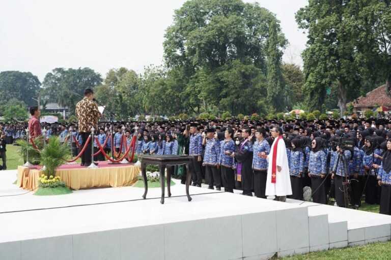 WhatsApp Image 2025-11-27 at 13.10.08 (1)