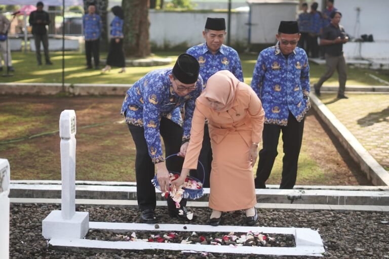 WhatsApp Image 2025-12-01 at 08.44.40