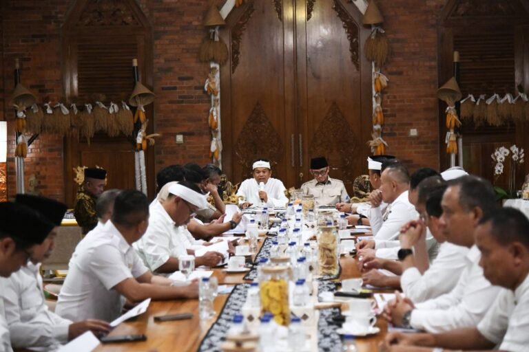 WhatsApp Image 2025-12-04 at 15.47.58