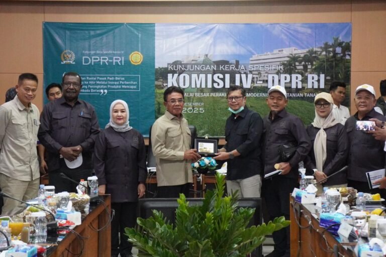 WhatsApp Image 2025-12-06 at 17.51.41