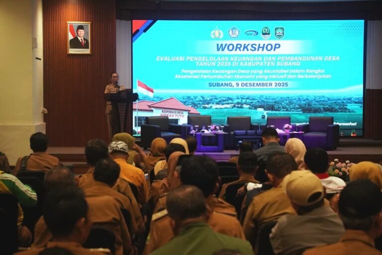 WhatsApp Image 2025-12-09 at 18.46.56 (1)