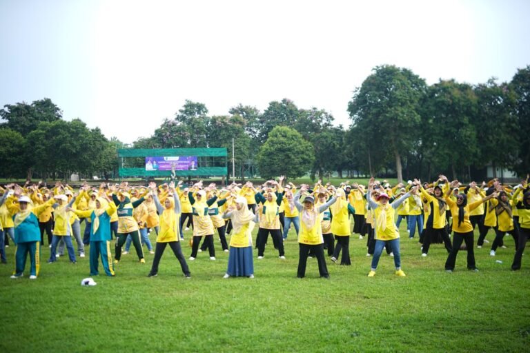 WhatsApp Image 2025-12-13 at 17.16.53 (1)