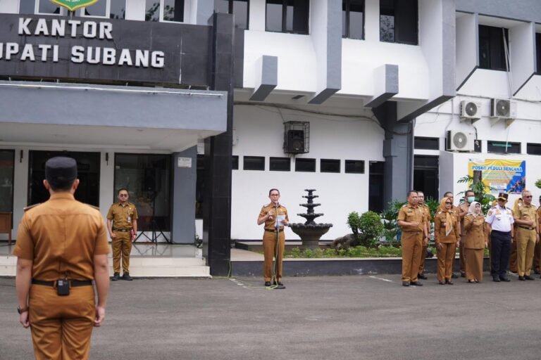 WhatsApp Image 2025-12-15 at 10.26.09 (2)