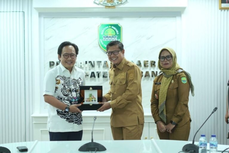 WhatsApp Image 2025-12-16 at 14.52.20