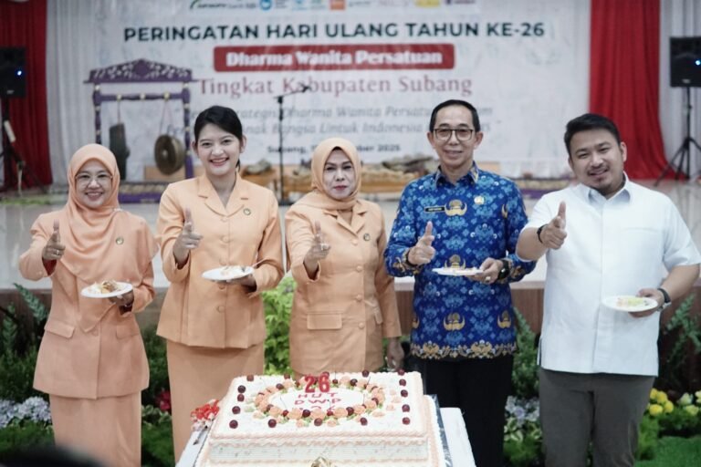 WhatsApp Image 2025-12-17 at 15.34.12