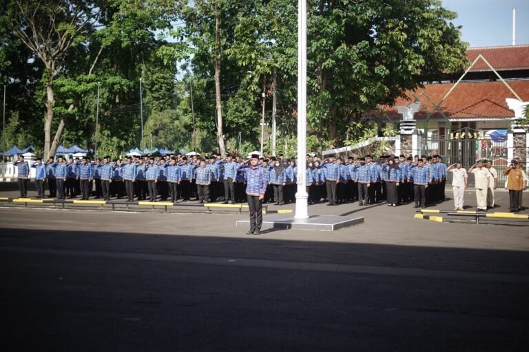 WhatsApp Image 2025-12-19 at 11.31.00 (1)