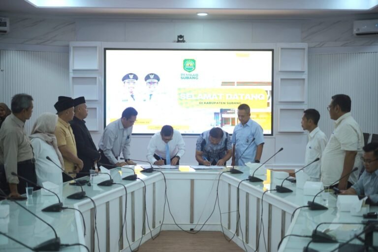 WhatsApp Image 2025-12-22 at 15.07.30