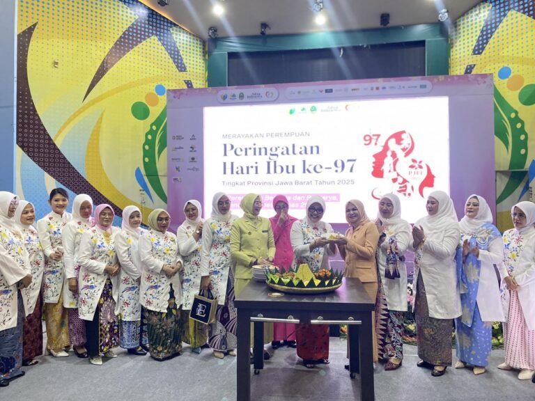 WhatsApp Image 2025-12-23 at 17.18.22