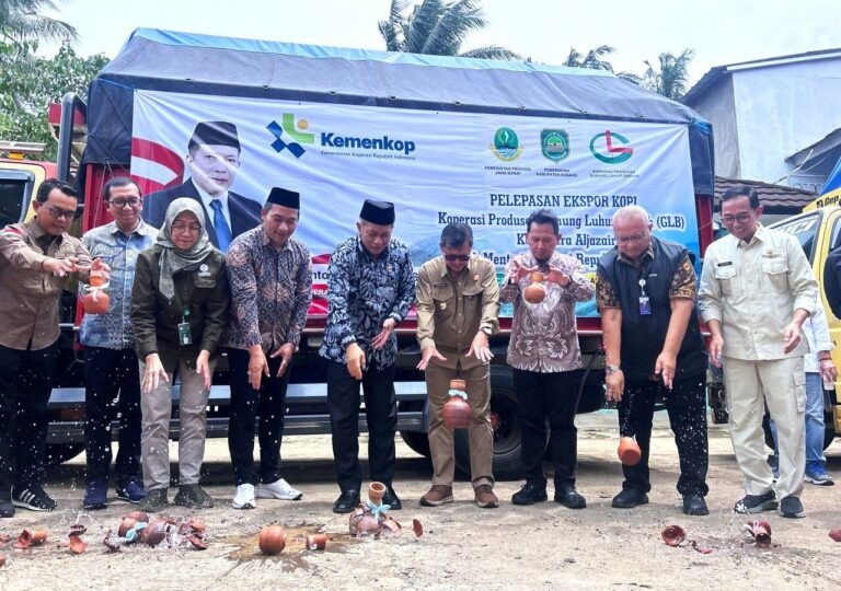 WhatsApp Image 2026-01-17 at 16.39.15