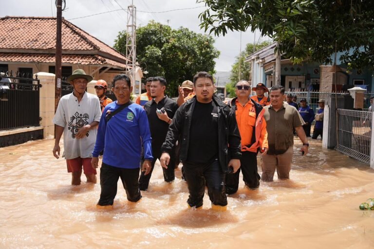 WhatsApp Image 2026-01-24 at 20.39.00