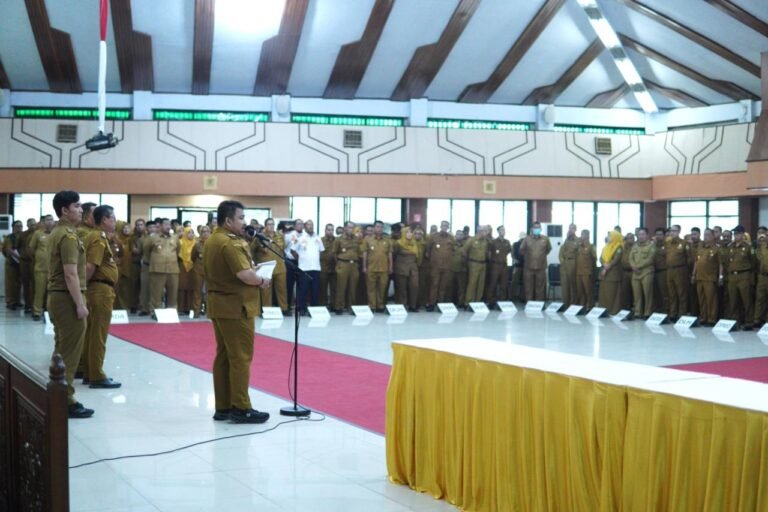 WhatsApp Image 2026-01-26 at 12.56.33