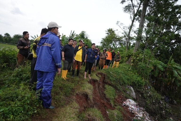 WhatsApp Image 2026-01-28 at 09.14.31