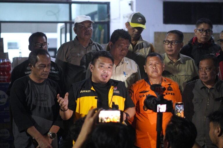 WhatsApp Image 2026-01-31 at 17.19.36