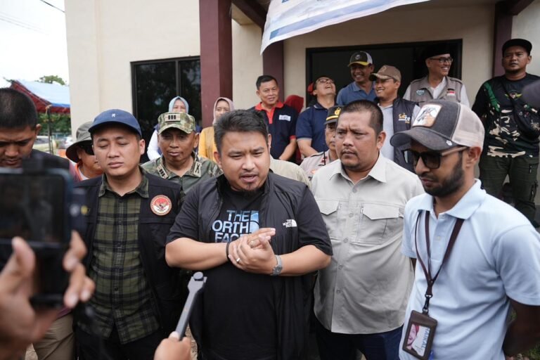 WhatsApp Image 2026-02-02 at 12.51.00