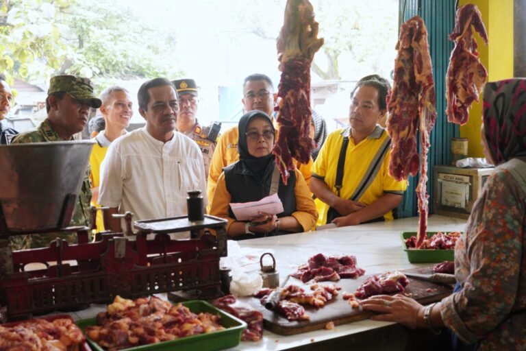 WhatsApp Image 2026-02-13 at 14.52.37 (1)