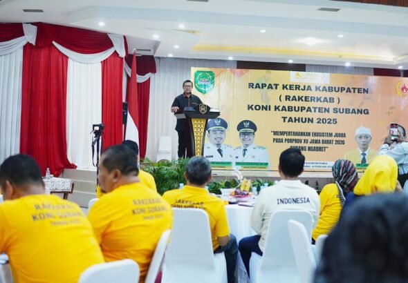 WhatsApp Image 2026-02-14 at 14.24.43