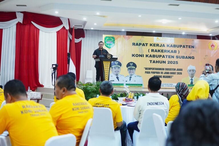 WhatsApp Image 2026-02-14 at 14.24.43