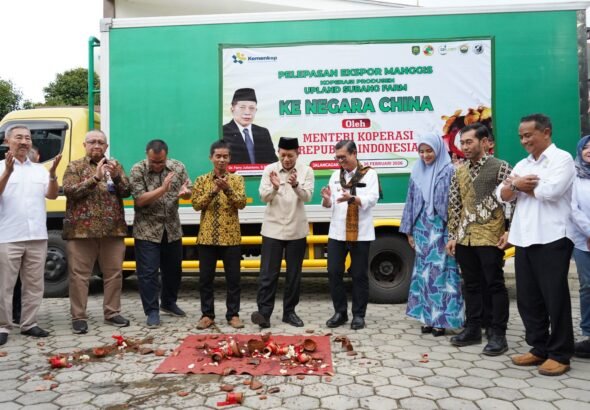 WhatsApp Image 2026-02-27 at 08.15.32