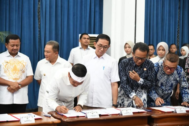 WhatsApp Image 2026-02-27 at 12.34.26