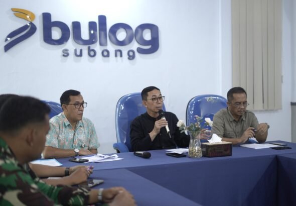 WhatsApp Image 2026-03-12 at 19.12.42