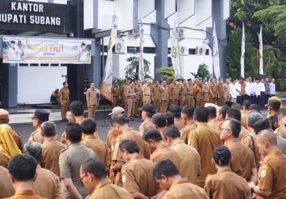 WhatsApp Image 2026-03-30 at 09.43.54