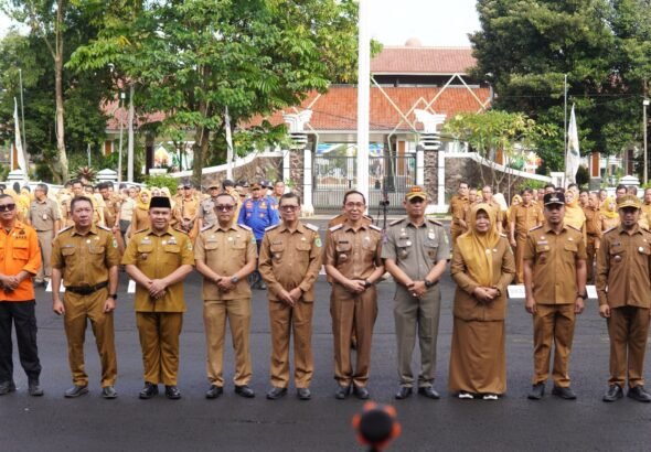 WhatsApp Image 2026-03-30 at 10.08.03