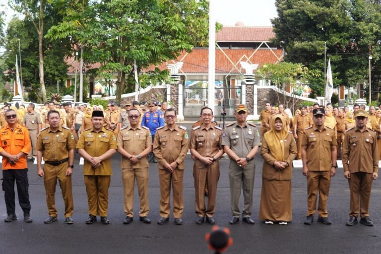 WhatsApp Image 2026-03-30 at 10.08.03