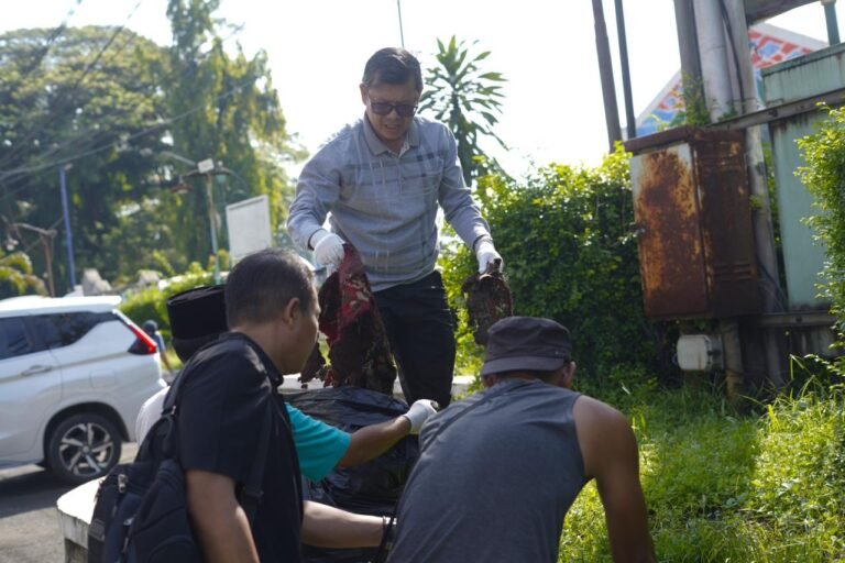 WhatsApp Image 2026-04-11 at 5.36.50 PM (1)